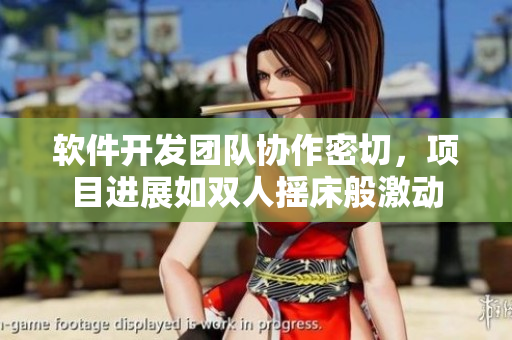 软件开发团队协作密切，项目进展如双人摇床般激动