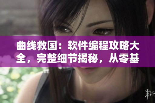 曲线救国：软件编程攻略大全，完整细节揭秘，从零基础到精通一步到位