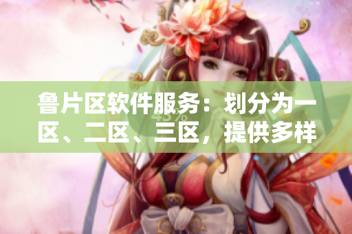 鲁片区软件服务：划分为一区、二区、三区，提供多样化服务
