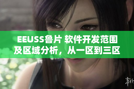 EEUSS鲁片 软件开发范围及区域分析，从一区到三区详细解读