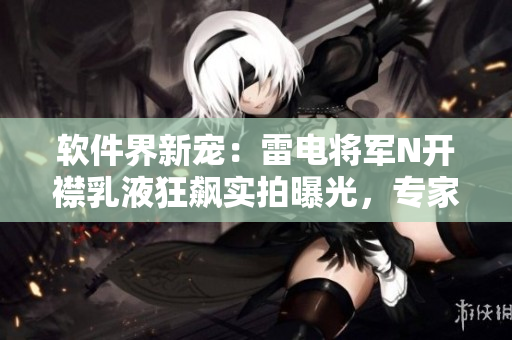 软件界新宠：雷电将军N开襟乳液狂飙实拍曝光，专家解读软件行业新趋势