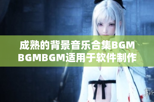 成熟的背景音乐合集BGMBGMBGM适用于软件制作，价格实惠！