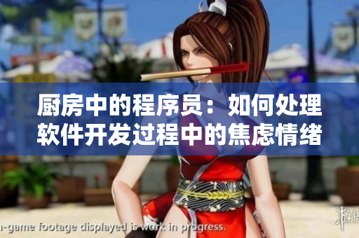 厨房中的程序员：如何处理软件开发过程中的焦虑情绪？