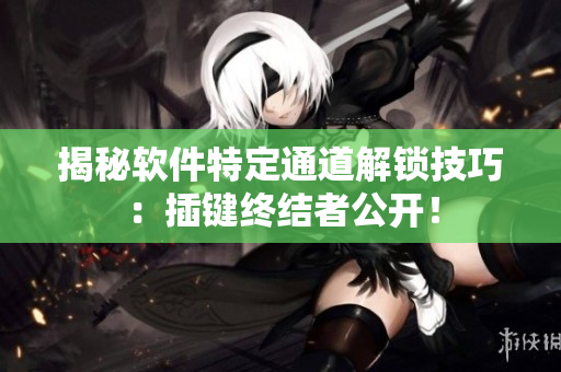 揭秘软件特定通道解锁技巧：插键终结者公开！