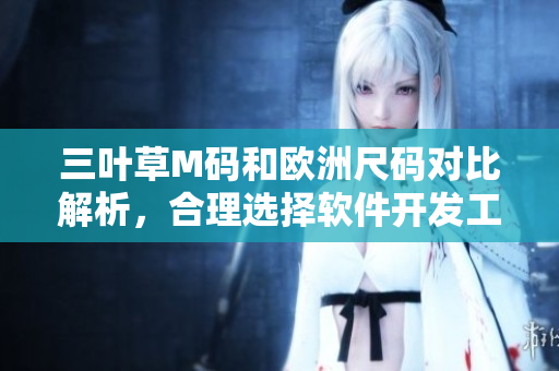 三叶草M码和欧洲尺码对比解析，合理选择软件开发工具