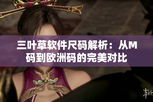 三叶草软件尺码解析：从M码到欧洲码的完美对比