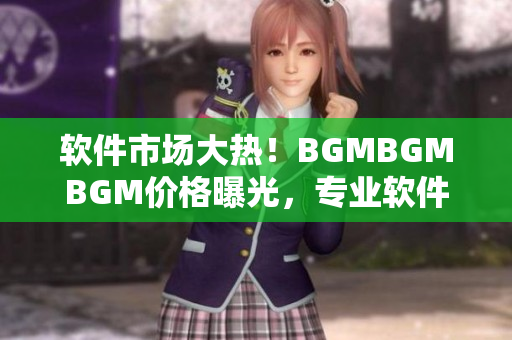 软件市场大热！BGMBGMBGM价格曝光，专业软件价格实探