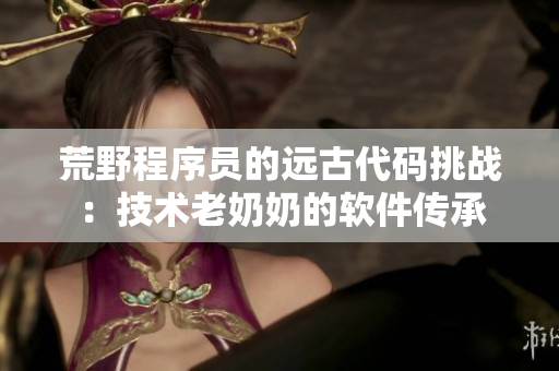 荒野程序员的远古代码挑战：技术老奶奶的软件传承