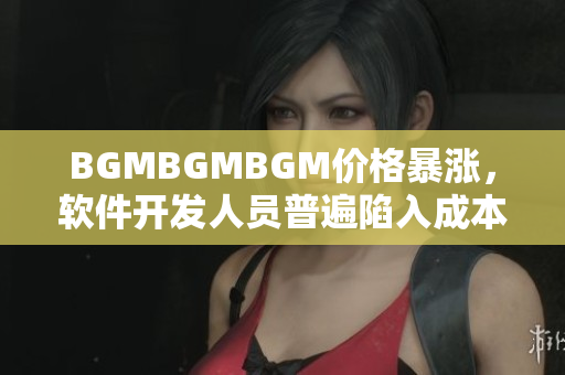 BGMBGMBGM价格暴涨，软件开发人员普遍陷入成本压力困境