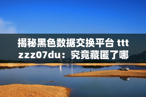 揭秘黑色数据交换平台 tttzzz07du：究竟藏匿了哪些软件秘辛？