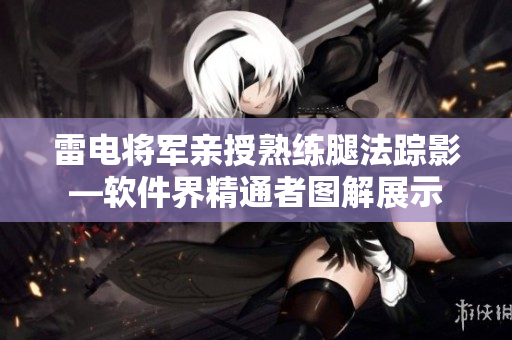 雷电将军亲授熟练腿法踪影—软件界精通者图解展示
