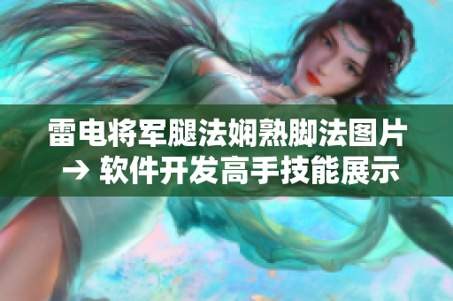 雷电将军腿法娴熟脚法图片 → 软件开发高手技能展示图解