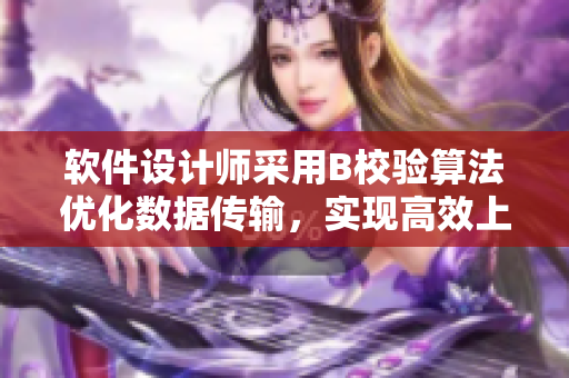 软件设计师采用B校验算法优化数据传输，实现高效上传