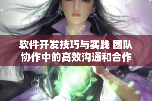 软件开发技巧与实践 团队协作中的高效沟通和合作