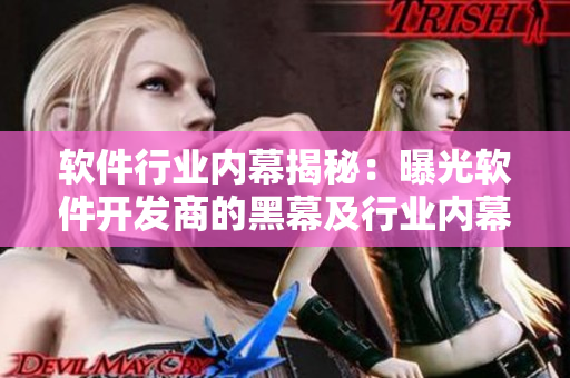 软件行业内幕揭秘：曝光软件开发商的黑幕及行业内幕揭露