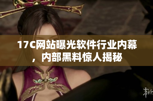 17C网站曝光软件行业内幕，内部黑料惊人揭秘