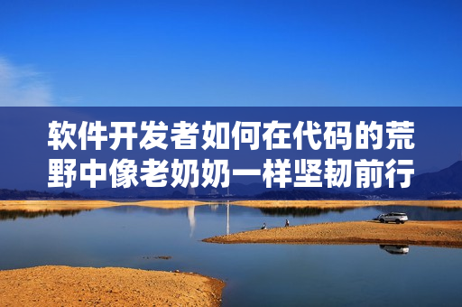 软件开发者如何在代码的荒野中像老奶奶一样坚韧前行