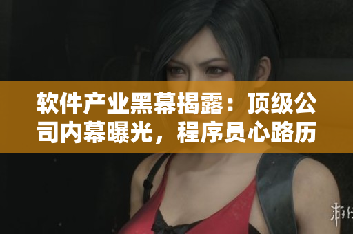 软件产业黑幕揭露：顶级公司内幕曝光，程序员心路历程全记录！