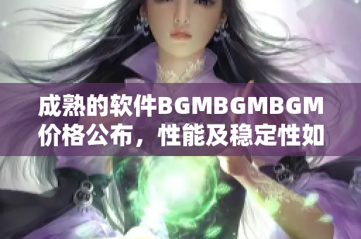 成熟的软件BGMBGMBGM价格公布，性能及稳定性如何？