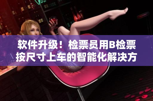 软件升级！检票员用B检票按尺寸上车的智能化解决方案