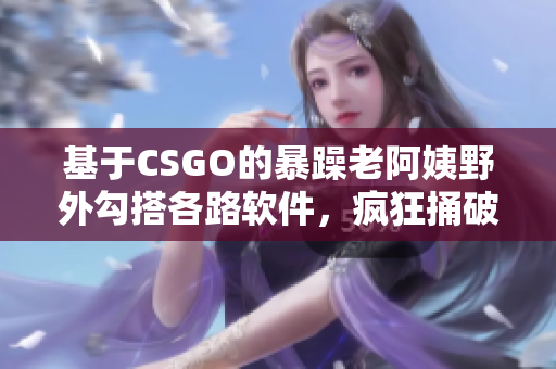 基于CSGO的暴躁老阿姨野外勾搭各路软件，疯狂捅破程序瓶颈