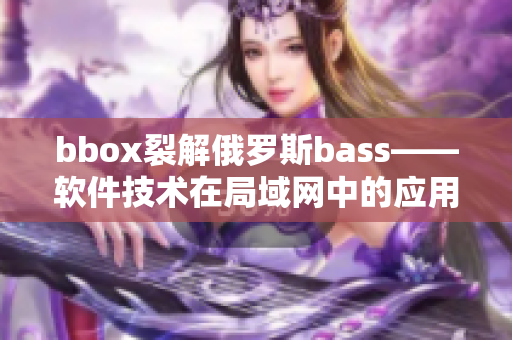 bbox裂解俄罗斯bass——软件技术在局域网中的应用研究
