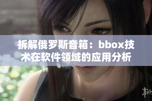 拆解俄罗斯音箱：bbox技术在软件领域的应用分析