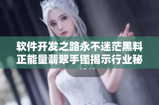 软件开发之路永不迷茫黑料正能量翡翠手镯揭示行业秘密