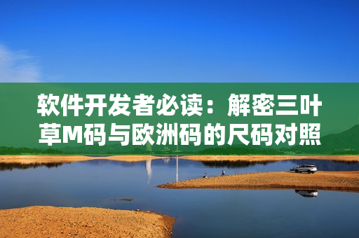 软件开发者必读：解密三叶草M码与欧洲码的尺码对照表