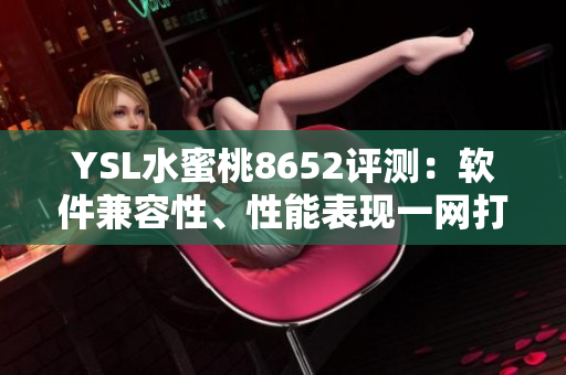 YSL水蜜桃8652评测：软件兼容性、性能表现一网打尽