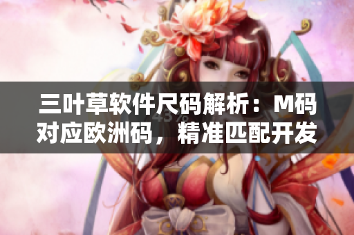 三叶草软件尺码解析：M码对应欧洲码，精准匹配开发者尺寸需求
