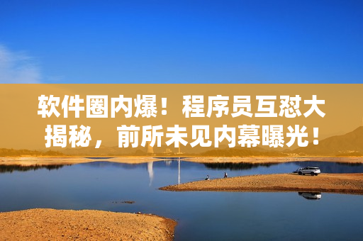 软件圈内爆！程序员互怼大揭秘，前所未见内幕曝光！【独家】