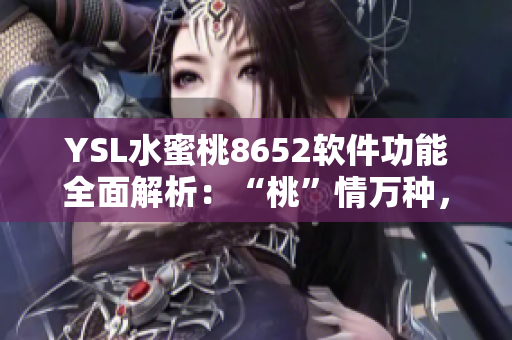 YSL水蜜桃8652软件功能全面解析：“桃”情万种，一图看懂