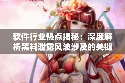 软件行业热点揭秘：深度解析黑料泄露风波涉及的关键信息