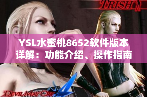 YSL水蜜桃8652软件版本详解：功能介绍、操作指南及用户体验分享