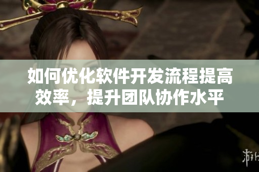 如何优化软件开发流程提高效率，提升团队协作水平