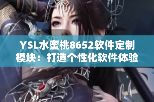 YSL水蜜桃8652软件定制模块：打造个性化软件体验