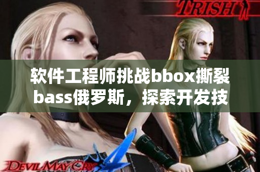 软件工程师挑战bbox撕裂bass俄罗斯，探索开发技术路径