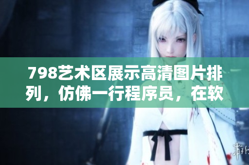 798艺术区展示高清图片排列，仿佛一行程序员，在软件世界中漫步
