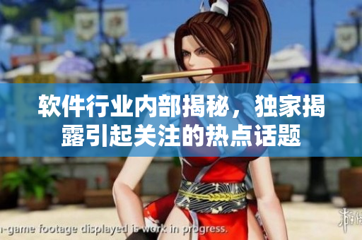 软件行业内部揭秘，独家揭露引起关注的热点话题