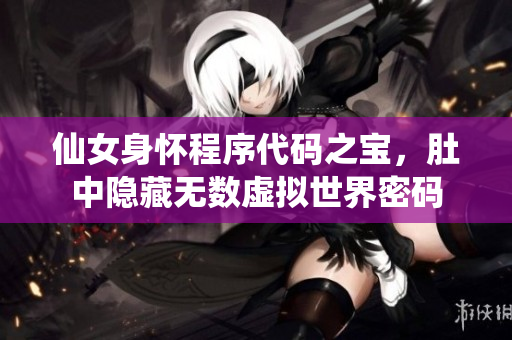 仙女身怀程序代码之宝，肚中隐藏无数虚拟世界密码