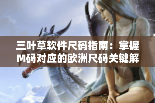 三叶草软件尺码指南：掌握M码对应的欧洲尺码关键解析
