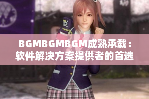 BGMBGMBGM成熟承载：软件解决方案提供者的首选之道
