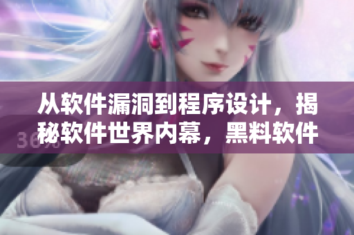 从软件漏洞到程序设计，揭秘软件世界内幕，黑料软件揭秘报告立体式解读