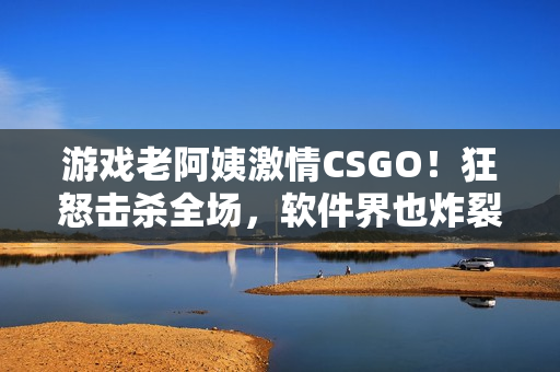游戏老阿姨激情CSGO！狂怒击杀全场，软件界也炸裂！