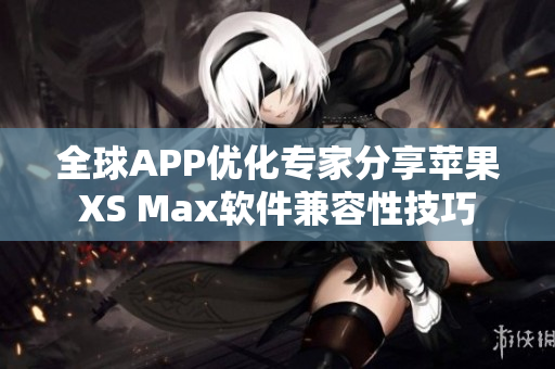 全球APP优化专家分享苹果XS Max软件兼容性技巧
