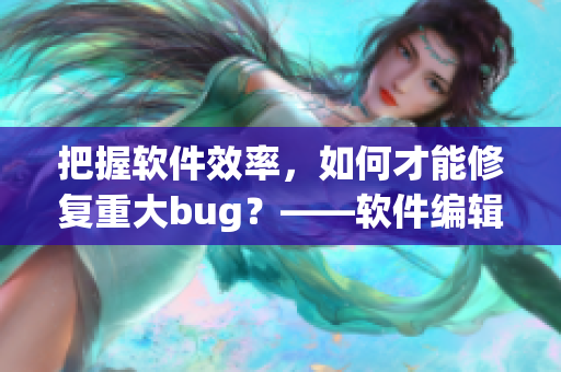 把握软件效率，如何才能修复重大bug？——软件编辑的探讨