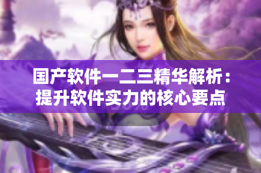 国产软件一二三精华解析：提升软件实力的核心要点