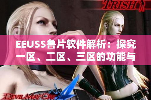 EEUSS鲁片软件解析：探究一区、二区、三区的功能与应用