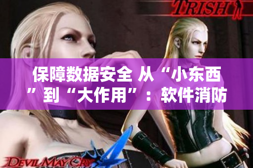 保障数据安全 从“小东西”到“大作用”：软件消防员的使命